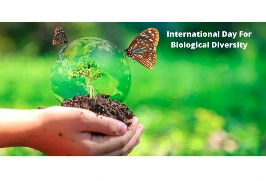 22 May - Beynəlxalq Biomüxtəliflik Günüdür